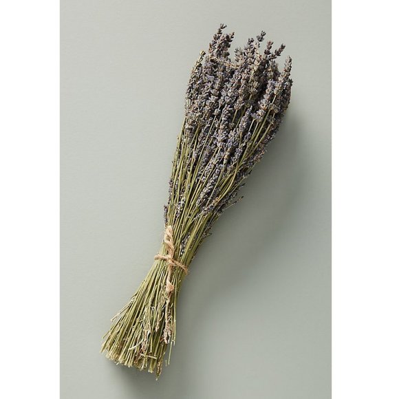 Anthropologie Other - Anthropologie Dried Lavender Bouquet